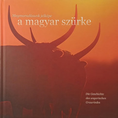 Gencsi Zolt�n - Megmarad�sunk jelk�pe a magyar sz�rke