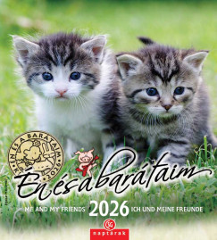 Én és a barátaim falinaptár - 19x22 cm - 2026