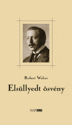 Robert Wasler - Elsllyedt svny