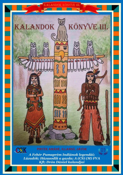 Pintér Amádé - Kalandok könyve III.