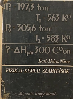Karl-Heinz Nser - Fizikai-kmiai szmtsok