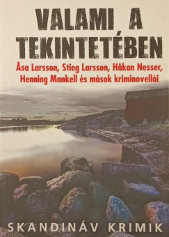 John-Henri Holmberg   (SZERK.) - Valami a tekintet�ben