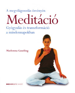 Sri Chinmoy - Meditáció