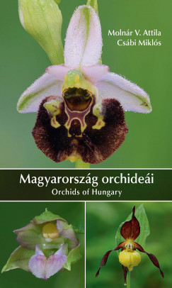 Csbi Mikls - Molnr V. Attila - Magyarorszg orchidei