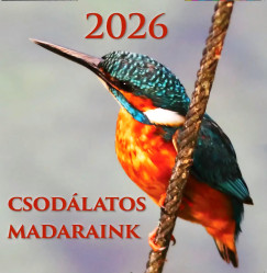 Telegdi gnes - Csodlatos Madaraink 2026. naptr - 19x19 cm