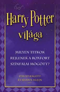 David Bagett - Shawn Klein - Harry Potter vilga