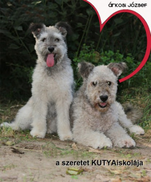 �rkosi J�zsef - A szeretet KUTYAiskol�ja
