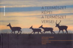 Lipovszky Gyrgy - Petrczi va - A termszet kpei - A termszet versei