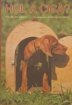 B�lint �gnes - Hol a cica?