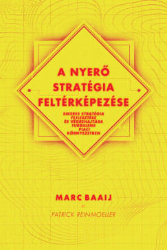 Marc Baaij - Patrick Reinmoeller - A nyer stratgia feltrkpezse