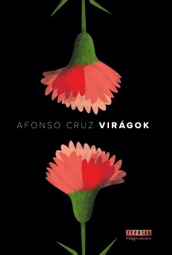 Afonso Cruz - Virgok