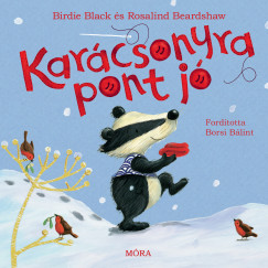Birdie Black - Karácsonyra pont jó