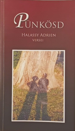 Halassy Adrienn - P�nk�sd (dedik�lt)