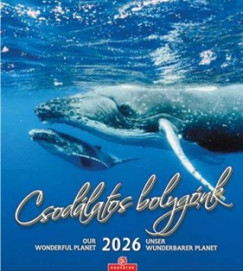 Csod�latos bolyg�nk falinapt�r - 30x34 cm - 2026