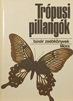 Mészáros Zoltán - Trópusi pillangók