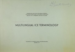 Multilingual Ice Terminology