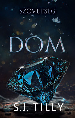 S.J. Tilly - Sz�vets�g - Dom