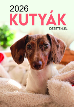 Kutyk falinaptr - 33x23 cm - 2026