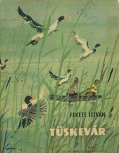 Tskevr