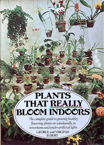 Plants That Really Bloom Indoors
