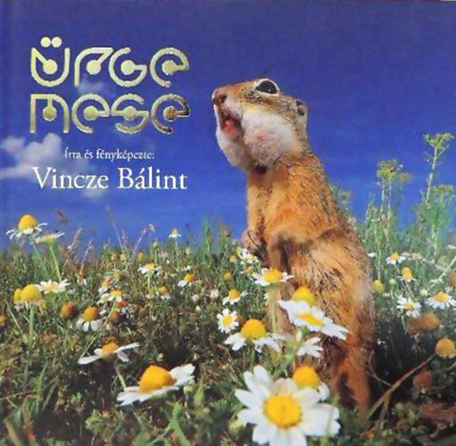 Vincze Blint - rge mese
