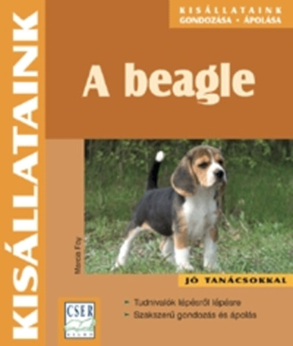 A beagle