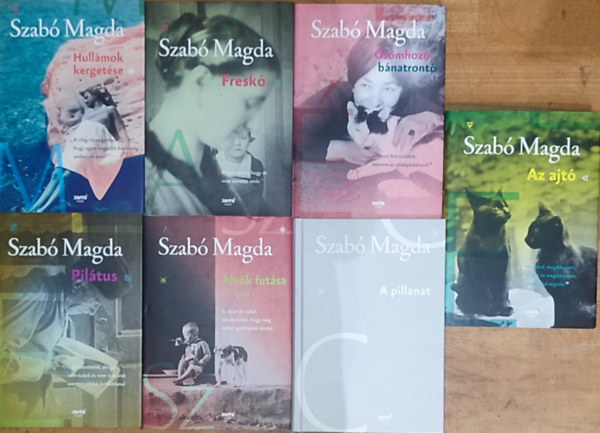 7db Szab Magda regny - Hullmok kergetse, Fresk, rmhoz, bnatront, Piltus, Alvk futsa, A pillanat, Az ajt