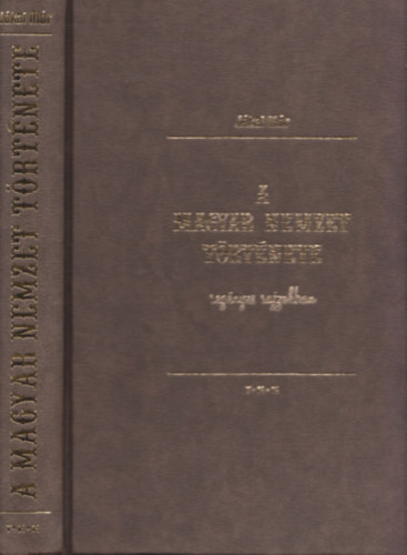 A magyar nemzet trtnete regnyes rajzokban (reprint)