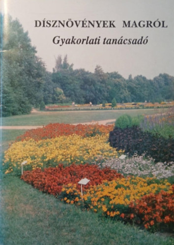 Dsznvnyek magrl - Gyakorlati tancsad