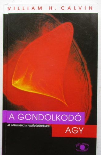 A gondolkod agy