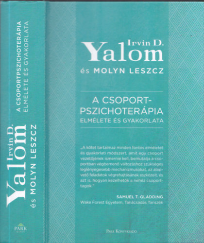 A csoport-pszichoterpia elmlete s gyakorlata