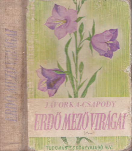 Erd�-mez� vir�gai (A magyar fl�ra sz�nes kis atlasza)