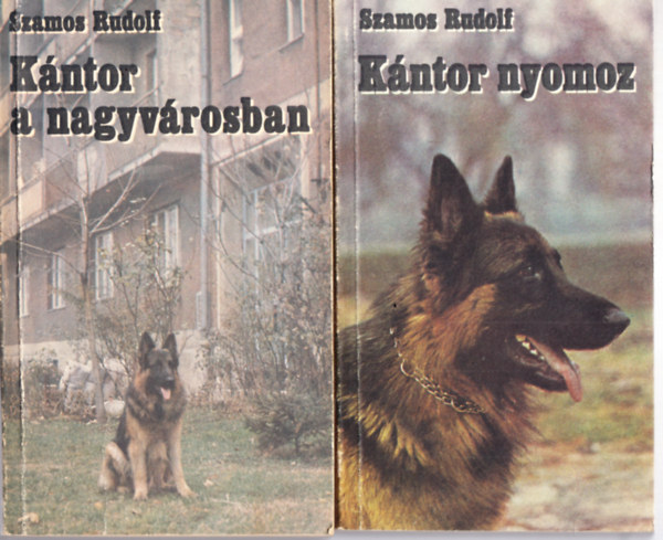 Kntor a nagyvrosban + Kntor nyomoz