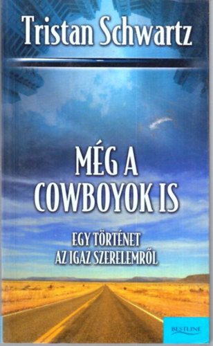 Mg a cowboyok is - Egy trtnet az igaz szerelemrl