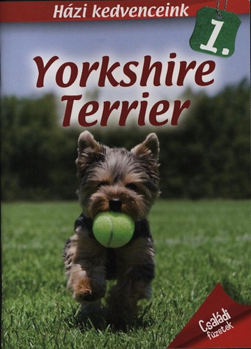 Yorkshire terrier (Hzi kedvenceink 1.)