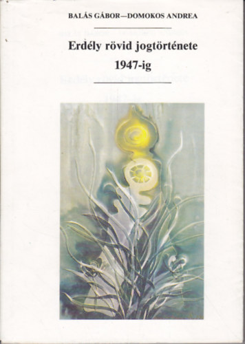 Bals Gbor; Domokos Andrea - Erdly rvid jogtrtnete 1947-ig