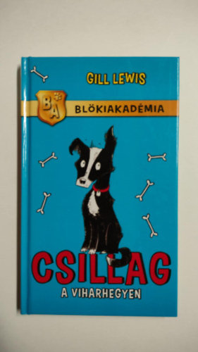 Csillag a Viharhegyen