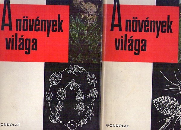 A nvnyek vilga 1-2     - A hajtsos nvnyek vegetatv szerveinek kialakulsa s mkds - Izomeiosprs s homomeiosprs szervezds -  A sporofiton hrmas funkcivltsa a magvas nvnyek egyedfejldsben -A nvn