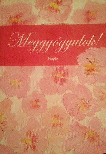 Meggygyulok! - Napl