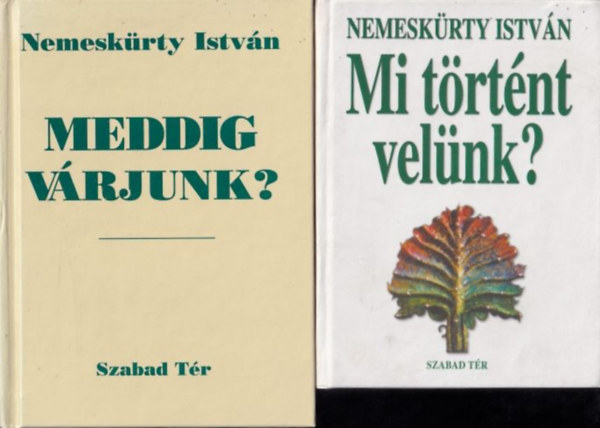 Meddig vrjunk? + Mi trtnt velnk? (2 db)