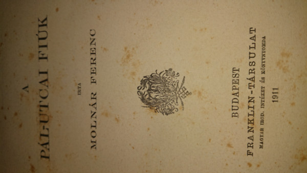 A Pl utcai fik