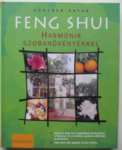 Feng shui: Harmnia szobanvnyekkel