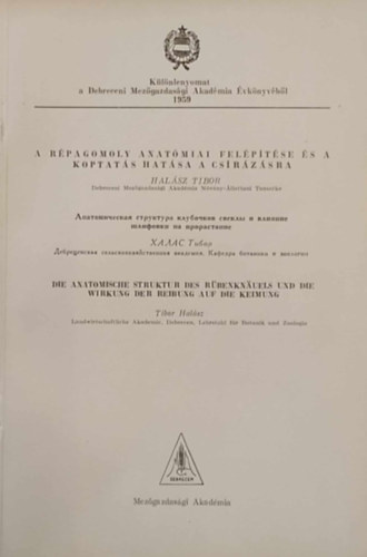 A r�pagomoly anat�miai fel�p�t�se �s a koptat�s hat�sa a cs�r�z�sra - K�l�nlenyomat