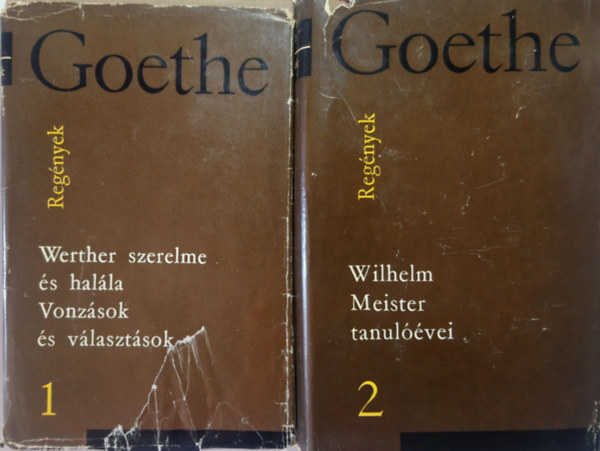 Goethe vlogatott mvei - Regnyek I-II.