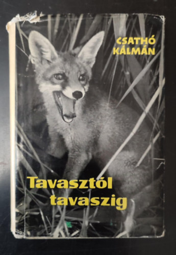 Tavasztl tavaszig - Egy r vadszemlkei (Egyedi termkfot)