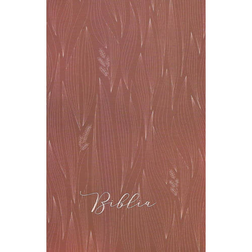 Biblia egyszer� ford�t�s