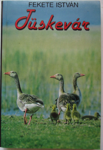 Tüskevár