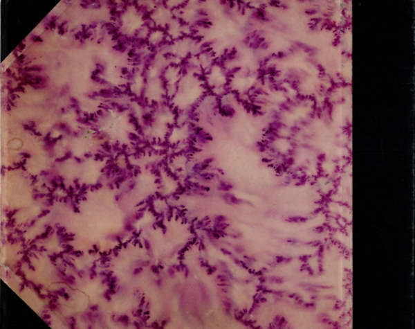 Weigelsbergi Weigl Ern� Takar�kac�lok c. k�nyv�b�l - kihajthat�