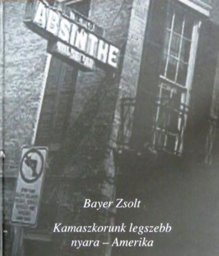 Kamaszkorunk legszebb nyara - Amerika