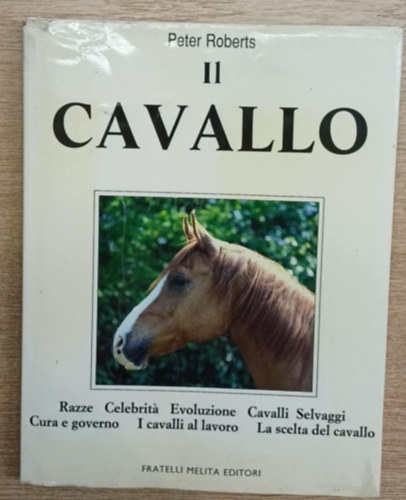 Il Cavallo (A l�)